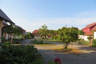 Fewo Ruhepol, 2 Zimmer, Terrasse