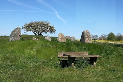 Fewo Ruhepol, Terrasse, Strandkorb