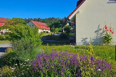 Appartement "Ruhepol", terras, strandstoel