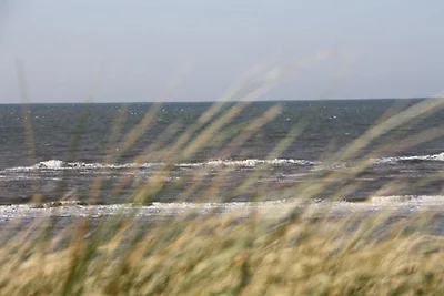 Vakantieappartement Gezinsvakantie Esens