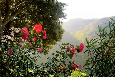 Casa privata con ampio giardino
