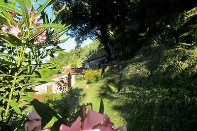 Casa privata con ampio giardino