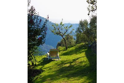 Casa privata con ampio giardino