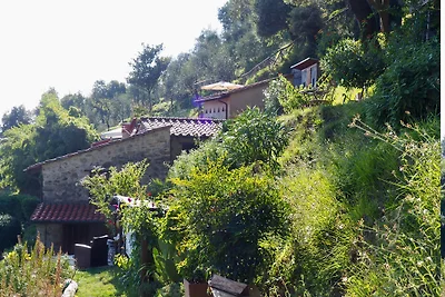 Casa privata con ampio giardino