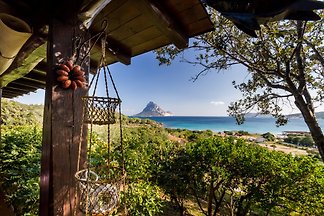 Casa Nido