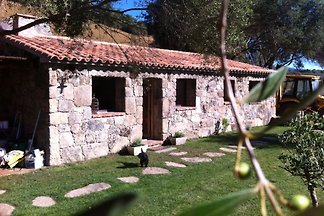 Porto Vecchio Korsica still Hause