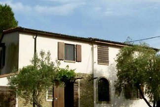 La Nuova serra