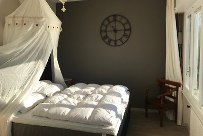 CASA L