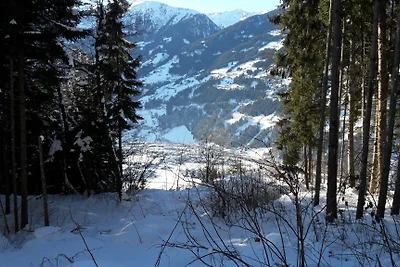 Vakantieappartement Gezinsvakantie Zell am Ziller