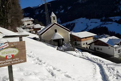 Vakantieappartement Gezinsvakantie Zell am Ziller