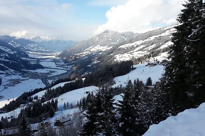 Vakantieappartement Gezinsvakantie Zell am Ziller