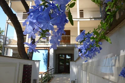 Appartement 30 meter van de zee