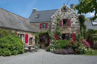 hirondelles les