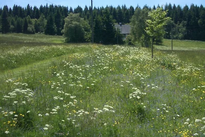 Ferienwohnung Wildblume