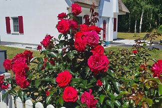 Maison de vacances Silbermöve