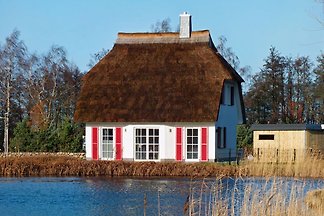 Das Ferienhaus Seeschwalbe 5 Sterne