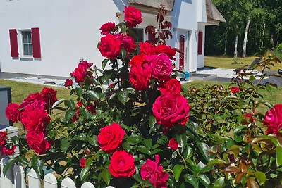Casa di vacanza Silbermöve 5 stelle