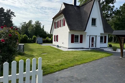 Ferienhaus Silbermöve 5 Sterne