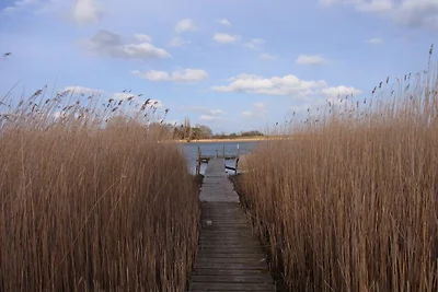 FeWo am Bodden (OG)
