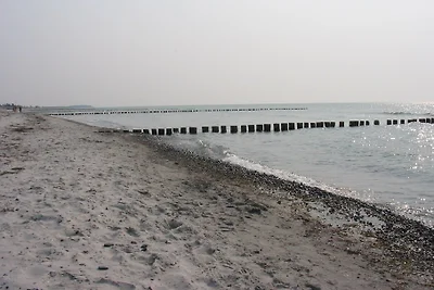 FeWo am Bodden (EG)