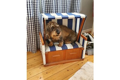Wohnung Bootsy