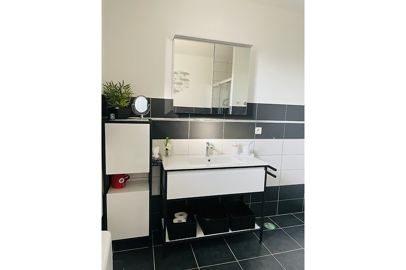 modernes  Badezimmer mit Spiegelschrank, Waschbecken und Möbeln im Loft Stil