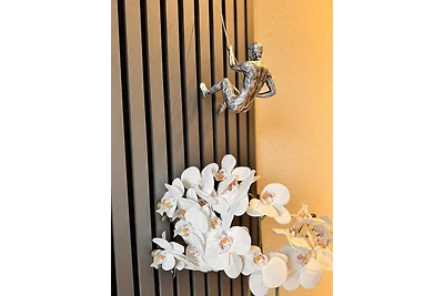 FeWo AuszeitHarz - Hunde willkommen