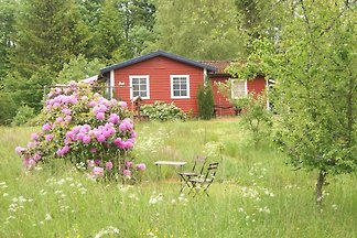 Ferienhaus Bob