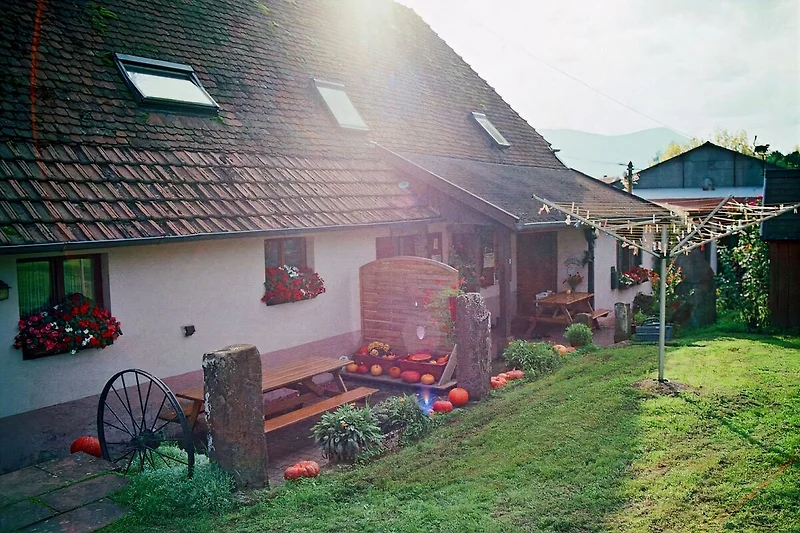 Der Aussenbereich