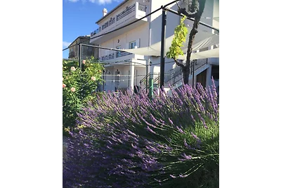 Apartmans Maja