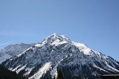 Aparthotel Kleinwalsertal