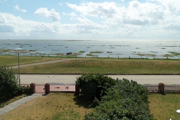 Ferienhaus Juist
