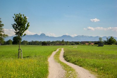 Attelblick