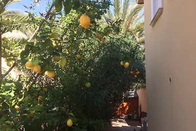 Casa Luchen