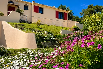 Villa Méditerranée