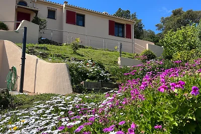 Ferienhaus Belvedere