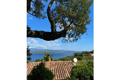 Villa Méditerranée