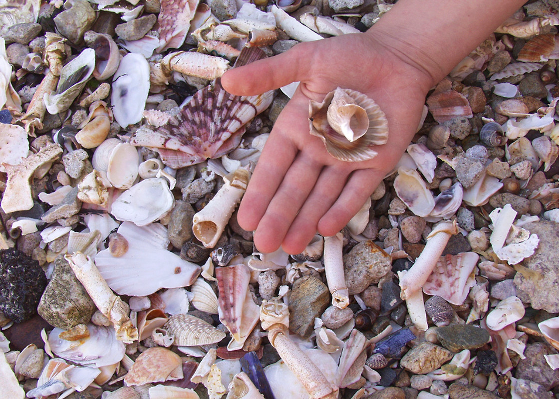 KAMINHAUS - Ferienhaus in Plouezec mieten