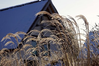 5* Wohnung Kajüte 2/2 in Karlshagen