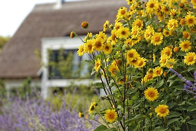 Vakantiehuis Ontspannende vakantie Karlshagen