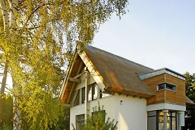 5* Strandhuis L15 in Karlshagen