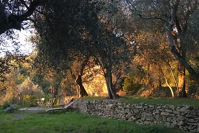 appartamento oliva