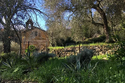 appartamento oliva