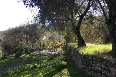 appartamento oliva