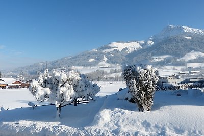 Casa de vacaciones Vacaciones de reposo Kitzbühel
