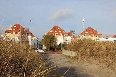 Seestern 36 Großenbrode Fehmarnsund