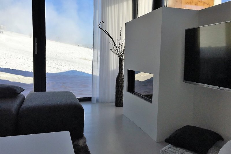 Fireplace and sliding doors to the slopes