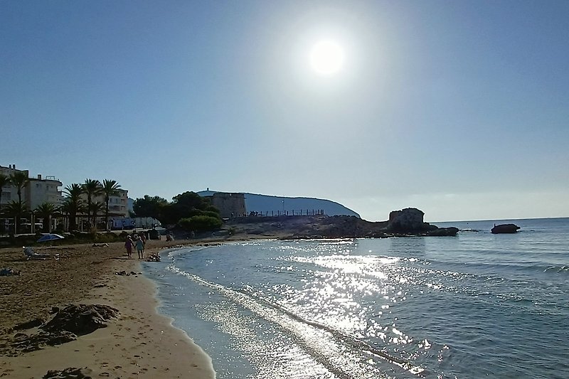 Ein traumhafter Morgen am Strand mit türkisblauem Wasser und Palmen.