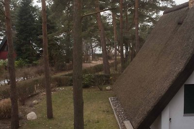 Casa de vacaciones con tejado de paja en Quilitz