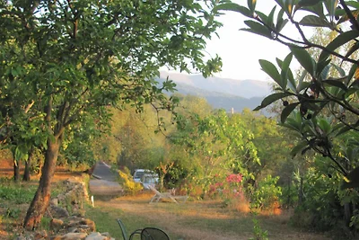 casa limone